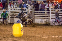 180621_Rodeo_571