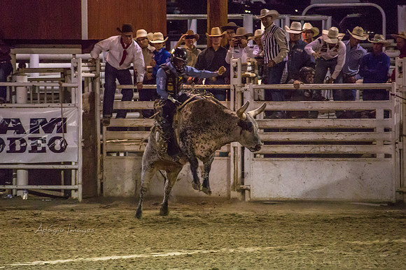 180621_Rodeo_589