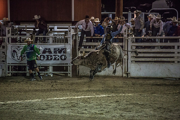 180621_Rodeo_592