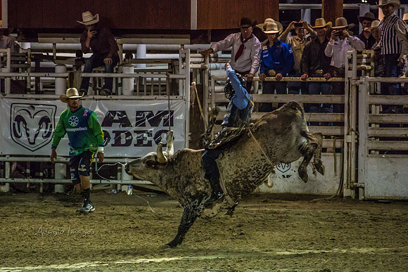 180621_Rodeo_596