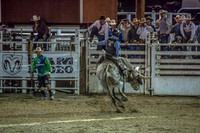 180621_Rodeo_594