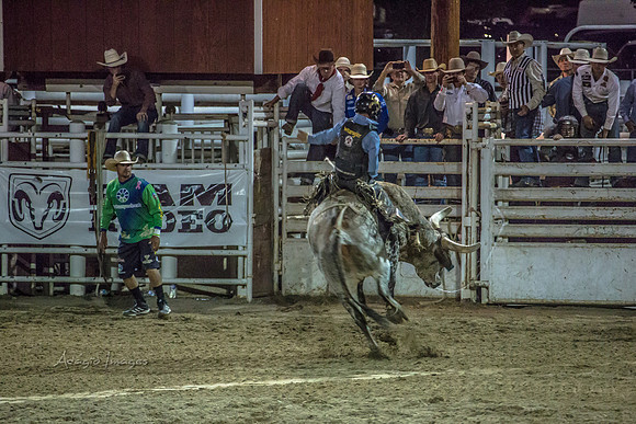 180621_Rodeo_594