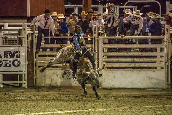 180621_Rodeo_590