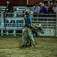 180621_Rodeo_601
