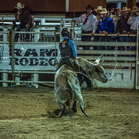 180621_Rodeo_601