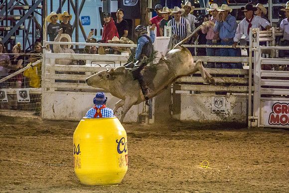 180621_Rodeo_575