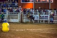 180621_Rodeo_557