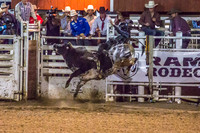 180621_Rodeo_559