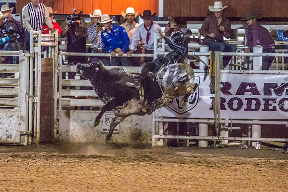 180621_Rodeo_559