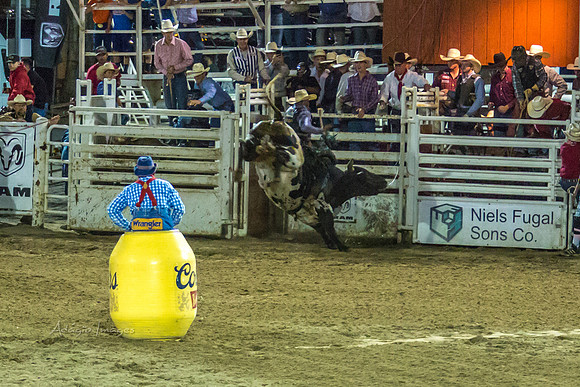 180621_Rodeo_569