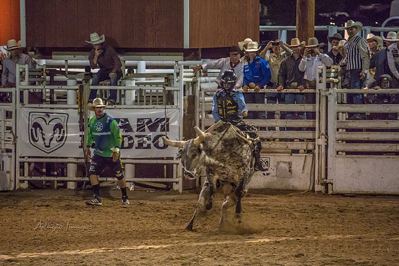 180621_Rodeo_595