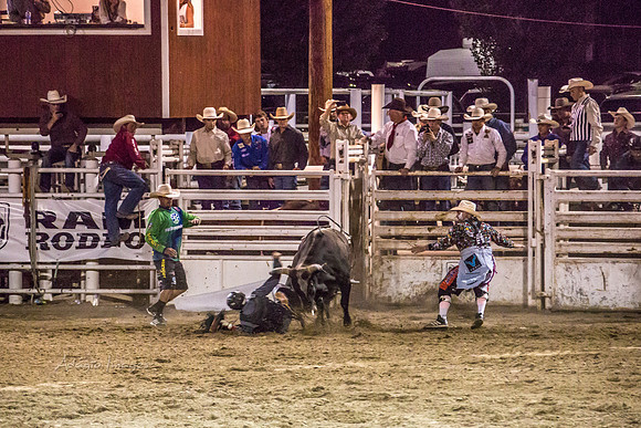 180621_Rodeo_612