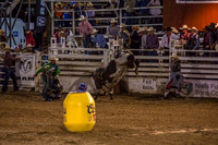 180621_Rodeo_572