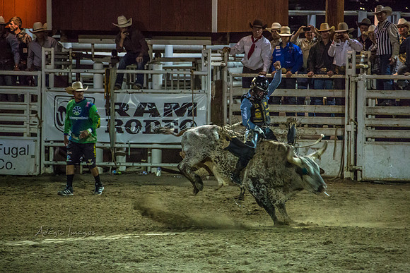 180621_Rodeo_598