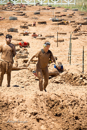 Spartan Beast