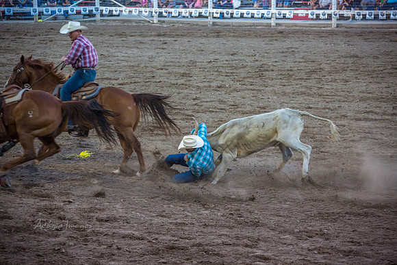 180621_Rodeo_098