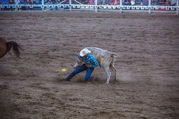 180621_Rodeo_099