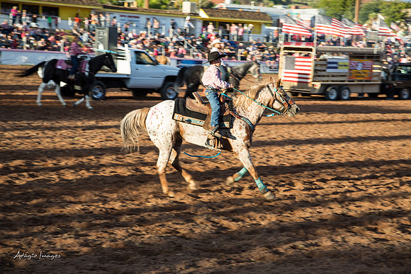 Dixie Roundup Rodeo 2013