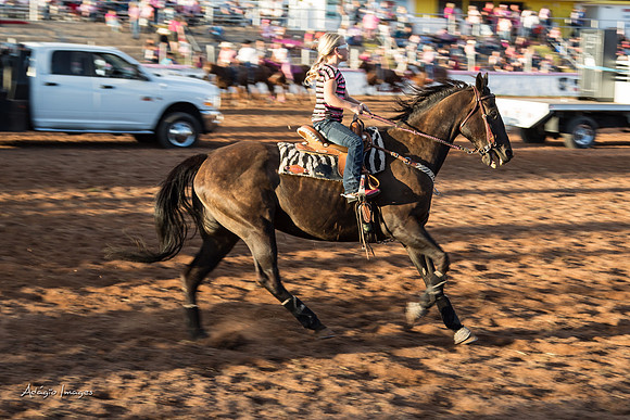 Dixie Roundup Rodeo 2013