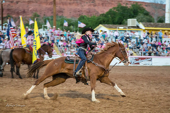 Dixie Roundup Rodeo 2013