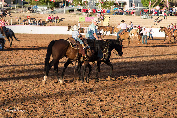 Dixie Roundup Rodeo 2013