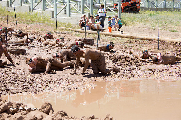 Spartan Beast - Castorus Maximus