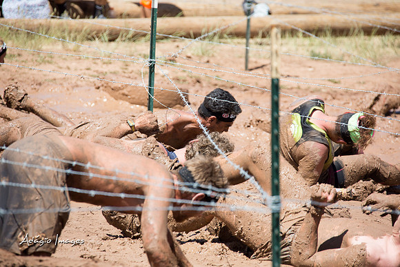 Spartan Beast - Castorus Maximus