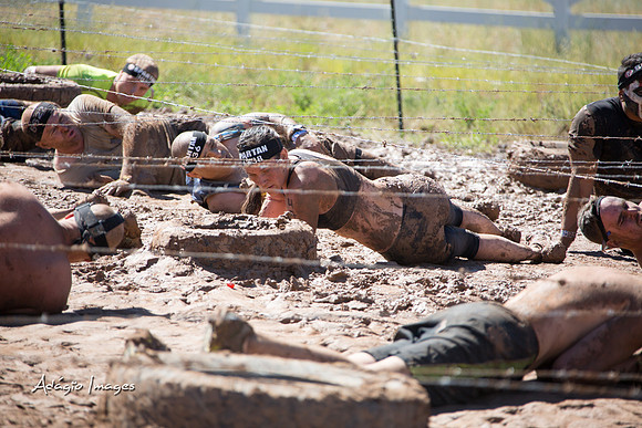 Spartan Beast - Castorus Maximus