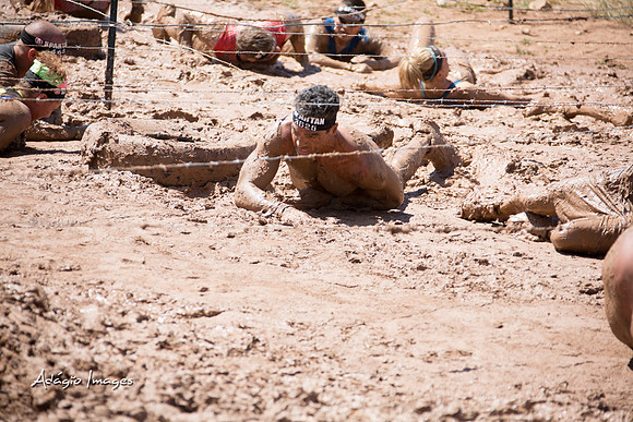 Spartan Beast - Castorus Maximus