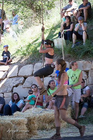 Spartan Beast - Castorus Maximus