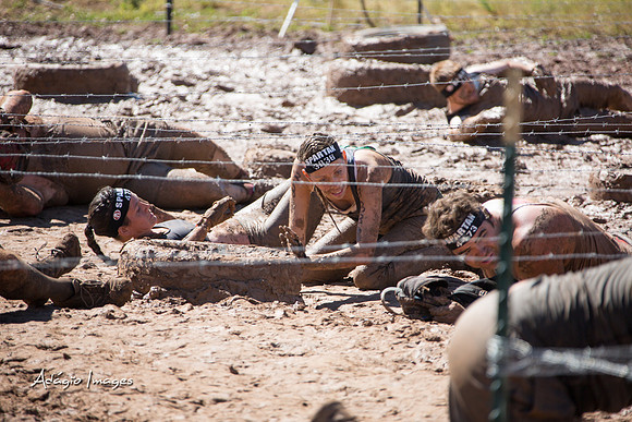 Spartan Beast - Castorus Maximus