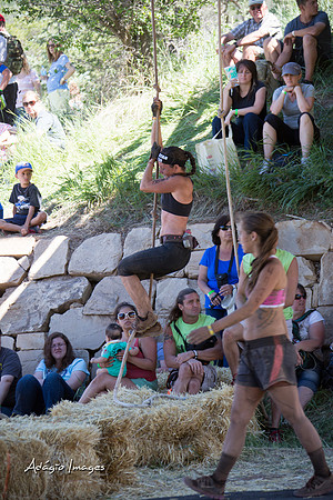 Spartan Beast - Castorus Maximus