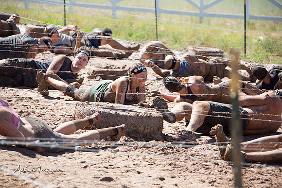 Spartan Beast - Castorus Maximus