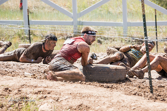 Spartan Beast - Castorus Maximus