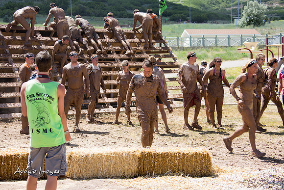 Spartan Beast - Castorus Maximus