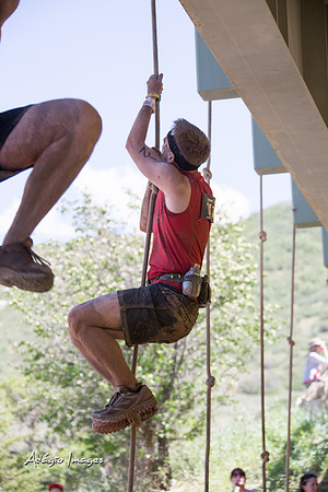 Spartan Beast - Castorus Maximus