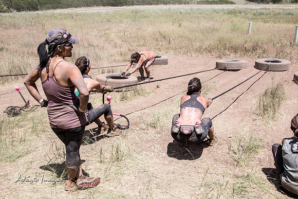Spartan Beast - Castorus Maximus