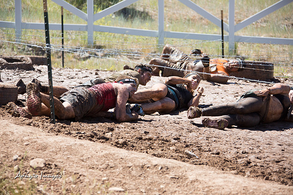 Spartan Beast - Castorus Maximus