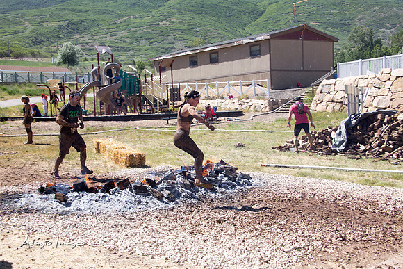 Spartan Beast - Castorus Maximus