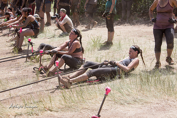 Spartan Beast - Castorus Maximus