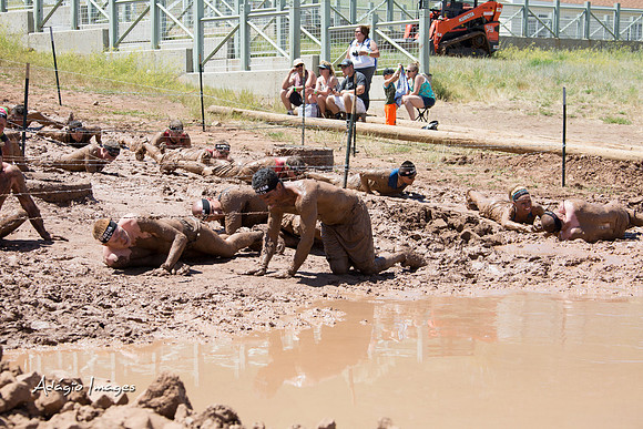 Spartan Beast - Castorus Maximus