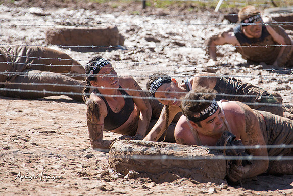 Spartan Beast - Castorus Maximus