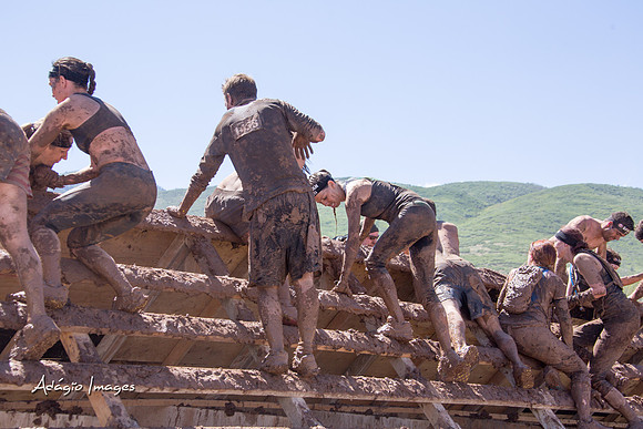Spartan Beast - Castorus Maximus