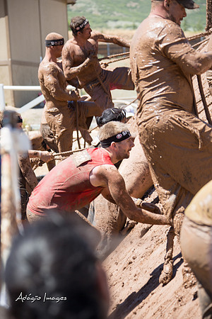 Spartan Beast - Castorus Maximus