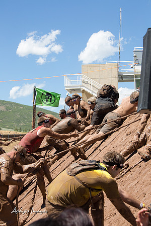 Spartan Beast - Castorus Maximus