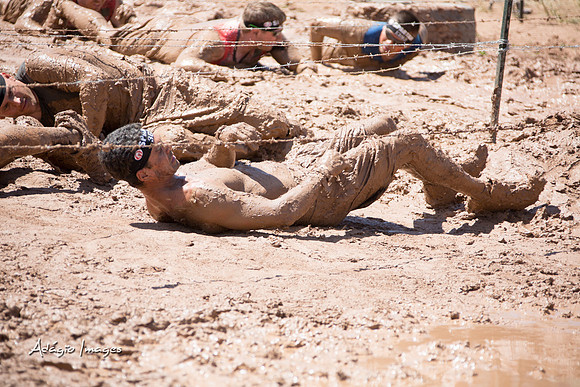 Spartan Beast - Castorus Maximus