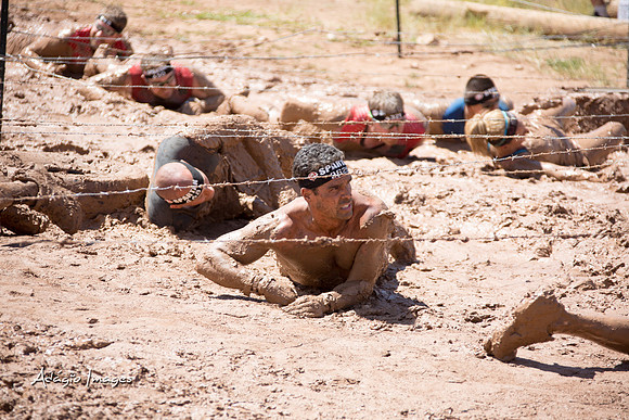 Spartan Beast - Castorus Maximus