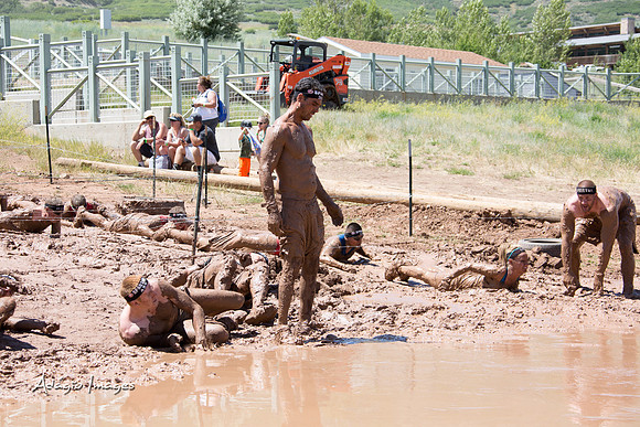 Spartan Beast - Castorus Maximus