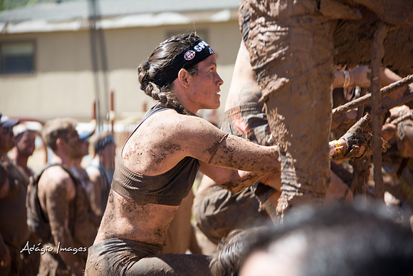 Spartan Beast - Castorus Maximus
