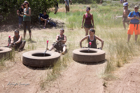 Spartan Beast - Castorus Maximus